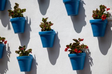 Costa del Sol 'un incisi, Marbella turistik kasabası, beyaz duvarlarda asılı mavi saksılar, Endülüs, İspanya