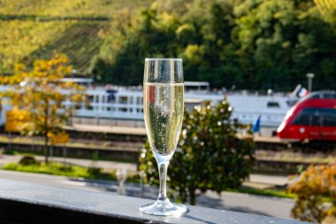 Tasting of sparkling white wine, traditional champagne method making of cremant in caves on Moselle river valley in Luxembourg, glasses of wine and view on terraced vineyards clipart