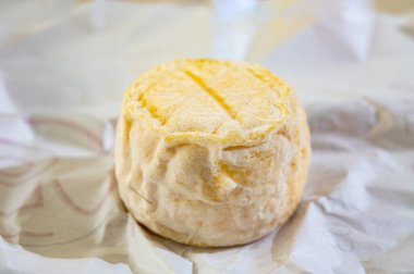 Cheese collection, soft goat French cheese with mold crottin de Chavignol produced near Sancerre on cheese farm, Loire Valley close up on white paper clipart