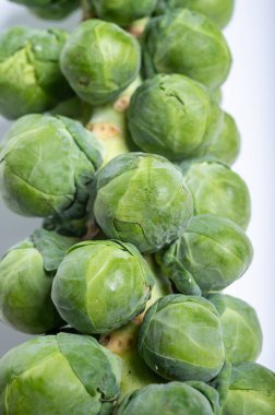 Yeşil Brüksel lahanası, beyaz masanın saplarında sebzeler filizlenir.