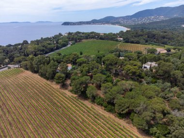 Tepeler, deniz, evler ve yeşil üzüm bağları üzerindeki hava manzarası Cotes de Provence, Saint-Tropez, Gassin ve Pampelonne plajı yakınlarındaki gül şarabı üretimi, Var, Fransa