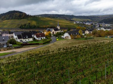 Nittel, Rhineland-Palatinate, Almanya çevresindeki teraslı üzüm bağlarının ve Machtum, Lüksemburg 'daki üzüm bağlarının sonbaharda Moselle Nehri boyunca uzanan manzarası.