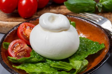 Taze İtalyan peyniri, beyaz burrata topları ya da mozzarella ve kremadan yapılmış burratina peyniri yemek.