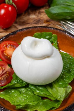 Taze İtalyan peyniri, beyaz burrata topları ya da mozzarella ve kremadan yapılmış burratina peyniri yemek.