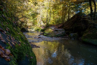 Scenic diversity of Mullerthal, Luxembourg's Little Switzerland, Schiessentumpel Cascade and river hiking routes, rock formations, forests, tourist destination in Europe clipart