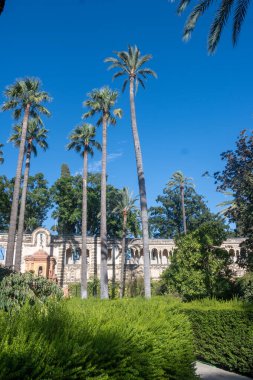 İspanya 'nın eski tarihi Endülüs kasabası Seville' de bahçede yürüyorum. Palmiye ağaçları, çiçekler, filizlerin mimari ayrıntıları. Endülüs 'te yaz. Seyahat hedefi,