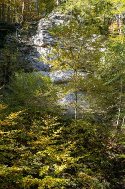 Mullerthal, Lüksemburg 'un Küçük İsviçre' si, Schiessentumpel Şelalesi ve nehir yürüyüş yolları, kaya oluşumları, ormanları, Avrupa 'daki turizm beldeleri