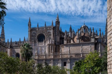 İspanya 'nın eski tarihi Endülüs kasabası Seville, Katedral Kilisesi' nde yürüyorum. Evlere, sokaklara, binaların mimari detaylarına bak. Seyahat güzergahı. Endülüs 'te yaz.