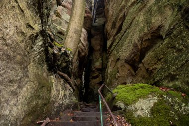 Scenic nature diversity of Mullerthal, Luxembourg's Little Switzerland, hiking routes, rock formations, moss-covered forests, tourist destination in Europe clipart