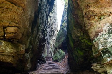 Mullerthal, Lüksemburg 'un Küçük İsviçre' si, yürüyüş yolları, kaya oluşumları, yosun kaplı ormanlar, Avrupa 'daki turizm beldeleri