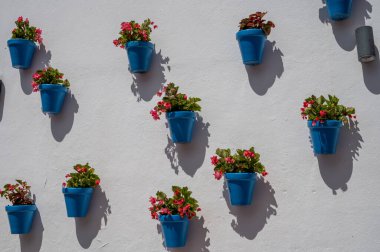 Costa del Sol 'un incisi, Marbella turistik kasabası, beyaz duvarlarda asılı mavi saksılar, Endülüs, İspanya
