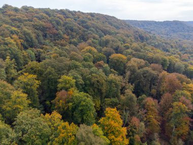 Sonbaharda Mullerthal 'da hava manzarası, Lüksemburg' un Küçük İsviçre 'si, yürüyüş yolları, kaya oluşumları, yosun kaplı ormanlar, Avrupa' da turizm beldesi