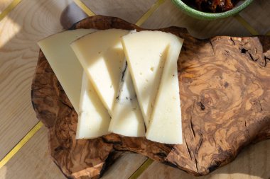 Peynir koleksiyonu, İspanyol olgun peyniri ve soğan turşusu güneş ışığında kapanıyor.