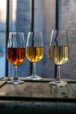 Şarap tatma, fino, olorosso, amontillado, kremalı Jeremy Sherry. Jerez de la Frontera, Cadiz, Endülüs, İspanya 'da palomino beyaz üzümünden yapılmış.