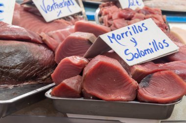 Assortment of fresh ocean daily catch of tuna, cazon, sharks, fish, prawns, seashells, molluscs on ice on fish market in Jerez de la Frontera, Andalusia, Spain clipart