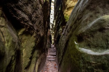 Mullerthal, Lüksemburg 'un Küçük İsviçre' si, yürüyüş yolları, kaya oluşumları, yosun kaplı ormanlar, Avrupa 'daki turizm beldeleri