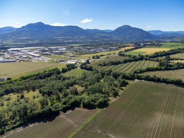 Agricultural region with lavender or lavandine plants, fruit orchards near Sisteron, Haute-Durance, Franse departement Alpes-de-Haute-Provence, in summer, aerial foto clipart