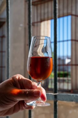 Bir bardak şeri fino, manzanilla, şarap, palomino beyaz üzümleri ve arka planda Endülüs vitrinlerinden güçlendirilmiş şarap, Jerez de la Frontera, İspanya