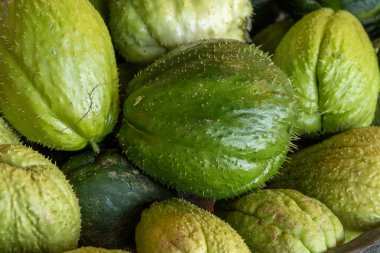 Taze taze organik yeşil Chayote meyveleri, ya da christophine, mirliton choko Tenerife, Kanarya Adaları, İspanya 'da çiftçi pazarında, yerel çiftçi ürünleri yakın mesafede.