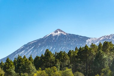 View on volcano Teide from La Vega and Icod de los Vinos, north of Tenerife in January, Canary islands, Spain, tourism in EU clipart