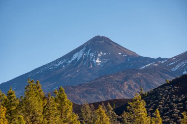Tenerife 'deki Teide Ulusal Parkı' nı ziyaret etmek ve volkanik manzaralara ve kışın Kanarya Adaları, İspanya 'daki yeşil Kanarya çam ağaçlarına bakmak