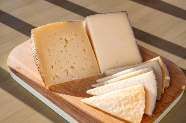 İspanyol sert peynirleri, inek ve koyun kürdanları, manchego, keçi peyniri çiftlikte tatmak için servis edilen, kapat.