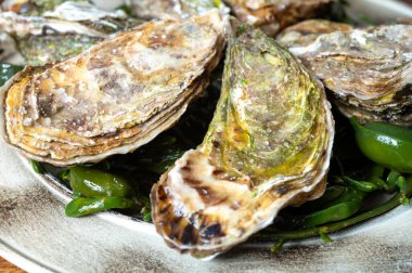 Taze çiğ tabak Fine de Claire Oleron istiridye kabukları istiridye çiftliği köyü, Marennes Oleron bölgesi, Fransa, deniz ürünleri konsepti.