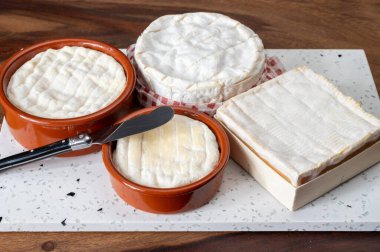 French soft cheeses collection, Saint-Marcellin, creamy Saint- Felicien, Camembert, Pont l'eveque cow's milk cheese with white mold, France clipart