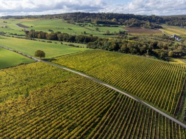 Nittel, Rhineland-Palatinate, Almanya çevresindeki teraslı üzüm bağlarının ve Machtum, Lüksemburg 'daki üzüm bağlarının sonbaharda Moselle Nehri boyunca uzanan manzarası.