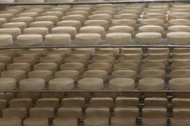 Rocamadour yumuşak keçi peyniri, Perigord 'daki çiftlikte üretilen yaşlanma sürecinde yumuşak kabuklu AOC peyniri ve Quercy adını Fransa' nın ayrılan Lot kentindeki Rocamadour köyünden aldı.
