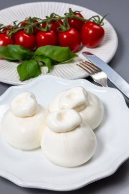 Taze İtalyan peyniri, beyaz burrata topları ya da mozzarella ve kremadan yapılmış burratina peyniri yemek.