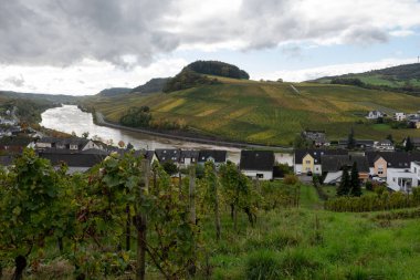 Nittel, Rhineland-Palatinate, Almanya çevresindeki teraslı üzüm bağlarının panoramik manzarası ve sonbaharda Grevenmacher yakınlarındaki Lüksemburg 'un üzüm bağlarındaki Moselle Nehri boyunca manzarası