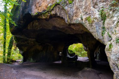 Scenic nature diversity of Mullerthal, Luxembourg's Little Switzerland, hiking routes, rock formations, moss-covered forests, tourist destination in Europe clipart