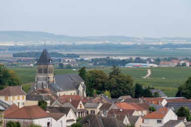 Oger ve Mesnil-sur-Oger yakınlarındaki yeşil büyük Cru üzüm bağlarında hasat zamanı, Fransa Şampanya Bölgesi. Cote des Blanc 'ın kireçli topraklarında beyaz şarap üzümü yetiştiriyorum.