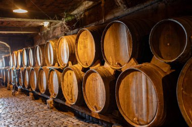 Meşe fıçıları olan eski mağaraları ziyaret etmek, Tenerife 'deki Tacoronte-Acentejo Dağı' nın volkanik topraklarında şarap imalathanelerini gezmek, Kanarya adaları, İspanya, şarap turu