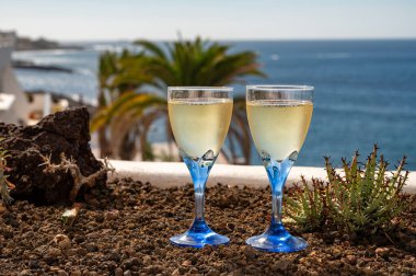 Kutlama, doğum günü partisi, kava ya da şampanya içmek tatil beldesi Costa Adeje, Tenerife, Kanarya Adaları kış tatili, İspanya
