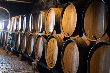 Meşe fıçıları olan eski mağaraları ziyaret etmek, Tenerife 'deki Tacoronte-Acentejo Dağı' nın volkanik topraklarında şarap imalathanelerini gezmek, Kanarya adaları, İspanya, şarap turu