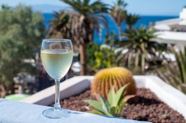 Kutlama, doğum günü partisi, tatil beldesi Costa Adeje, Tenerife 'de soğuk beyaz şarap içmek, Kanarya Adaları kış tatili, İspanya,