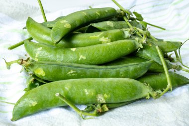 Taze taze bezelye tohumu, bahçe işleri, organik bahçe işleri.
