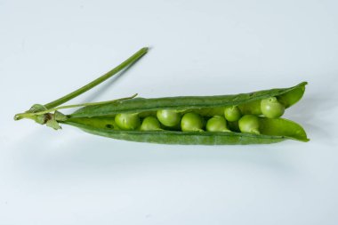 Taze taze bezelye tohumu, bahçe işleri, organik bahçe işleri.