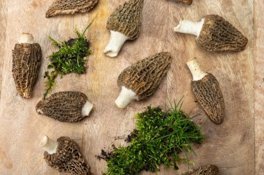 Çiğ bahar mantarları morşeller ya da gerçek mantarlar gurme aşçılar için yenilebilir kese mantarları, Katalan ve Fransız mutfağında, yenilebilir yabani mantarlar