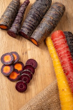 Renkli taze çiğ mor, sarı, kırmızı ve mor turuncu havuç Hollanda 'daki seradan sebze kökü, sağlıklı besin maddeleri.