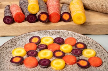 Renkli taze çiğ mor, sarı, kırmızı ve mor turuncu havuç Hollanda 'daki seradan sebze kökü, sağlıklı besin maddeleri.