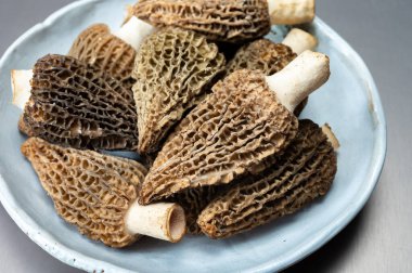 Çiğ bahar mantarları morşeller ya da gerçek mantarlar gurme aşçılar için yenilebilir kese mantarları, Katalan ve Fransız mutfağında, yenilebilir yabani mantarlar