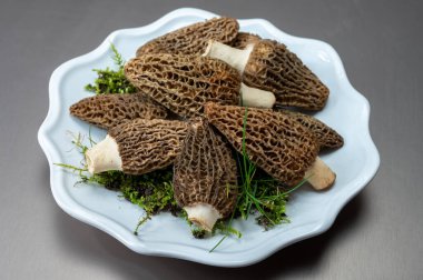 Çiğ bahar mantarları morşeller ya da gerçek mantarlar gurme aşçılar için yenilebilir kese mantarları, Katalan ve Fransız mutfağında, yenilebilir yabani mantarlar