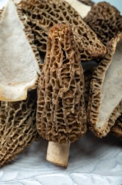 Çiğ bahar mantarları morşeller ya da gerçek mantarlar gurme aşçılar için yenilebilir kese mantarları, Katalan ve Fransız mutfağında, yenilebilir yabani mantarlar