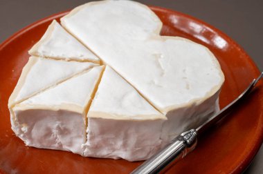 Peynir koleksiyonu, Normandiya 'dan Fransız peyniri, çiğ sütten yapılmış kalp şeklinde neufchatel.