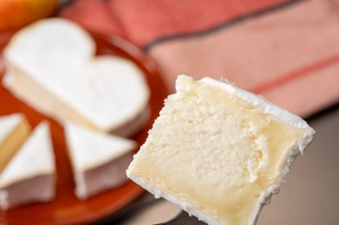 Peynir koleksiyonu, Normandiya 'dan Fransız peyniri, çiğ sütten yapılmış kalp şeklinde neufchatel.