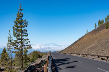 Tenerife 'deki Teide Ulusal Parkı' nı ziyaret etmek ve volkanik manzaralara ve kışın Kanarya Adaları, İspanya 'daki yeşil Kanarya çam ağaçlarına bakmak