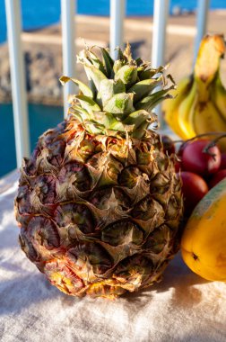 İspanya 'da eko çiftçiliği, Tenerife adası ve mavi deniz manzaralı Kanarya Adaları' ndan gelen organik, olgun, sarı kanarya ananası tropikal meyveleri.